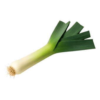 Poriluk
