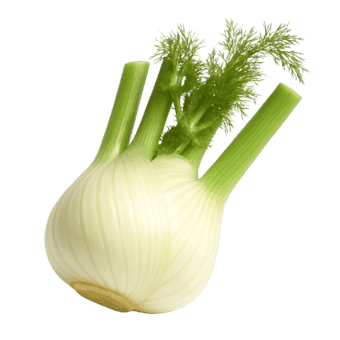 Komorač