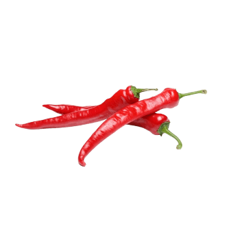 Čili