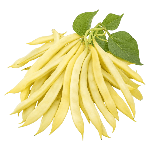 Mahuna