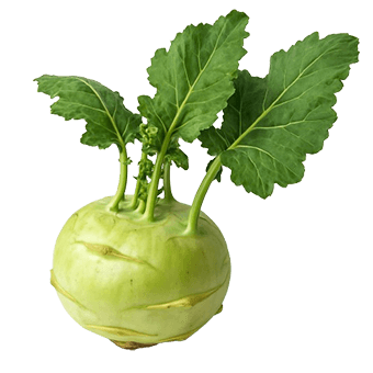 Koraba